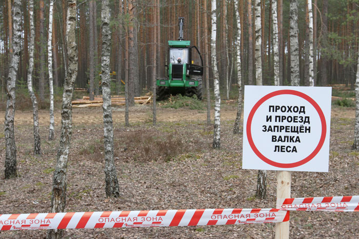 Плановая валка леса. Охрана труда в Лесном хозяйстве. Валка леса табличка. Знаки безопасности при валке леса. Техника безопасности в Лесном хозяйстве.