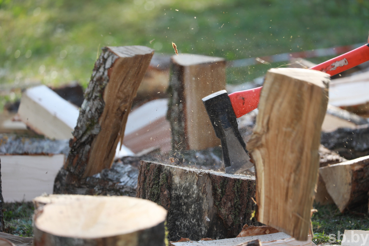 Колка дров. Деревянная колода для колки дров. Пенек для колки дров купить. Стоимость колки дров вручную за куб. Дрэва бел саженцы